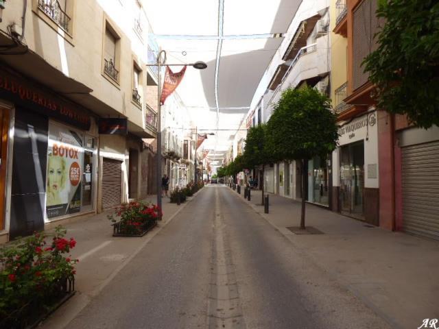 Ancha Centro *